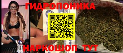 прущие крисы Среднеуральск