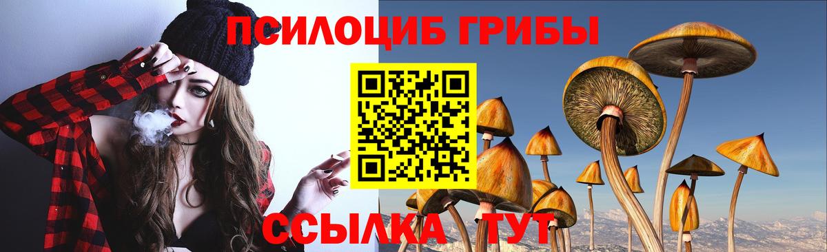 Галлюциногенные грибы ЛСД  Вход с VPN  Новотроицк  Псилоцибиновые грибы Magic Shrooms 
