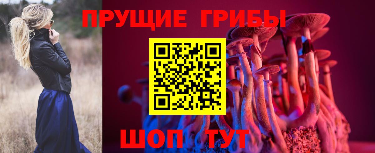 Псилоцибиновые грибы ЛСД Новотроицк